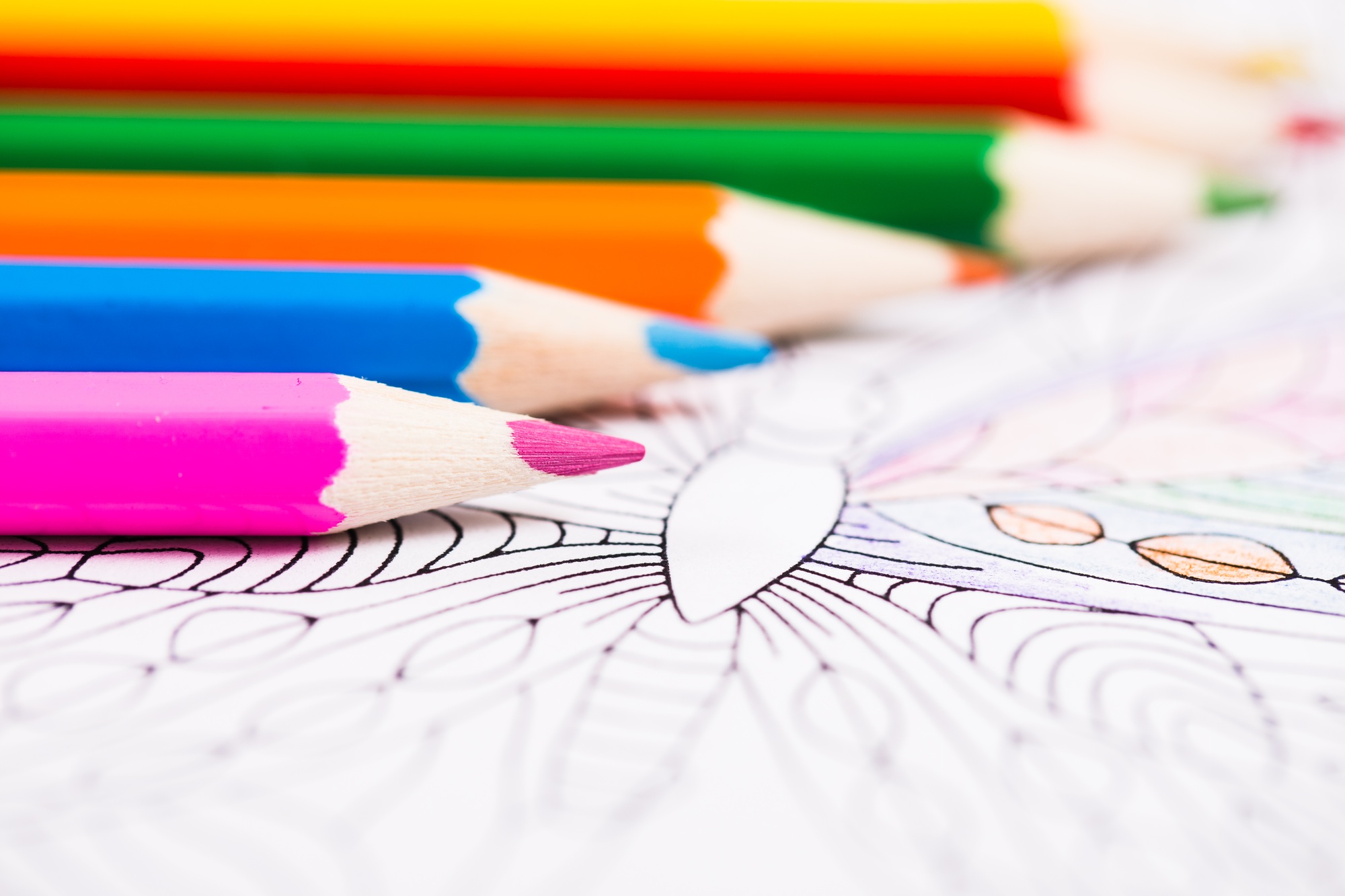 conseils pratiques